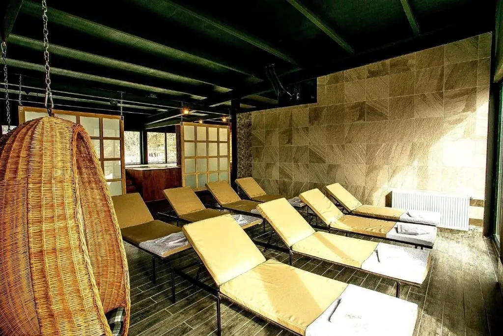 Бакуриани: Mgzavrebi Apartment In Bakuriani