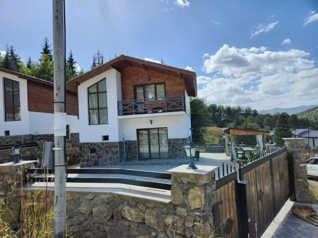Бакуриани: villa in mountains