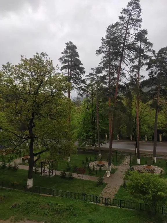 Боржоми: Apartment in Likani
