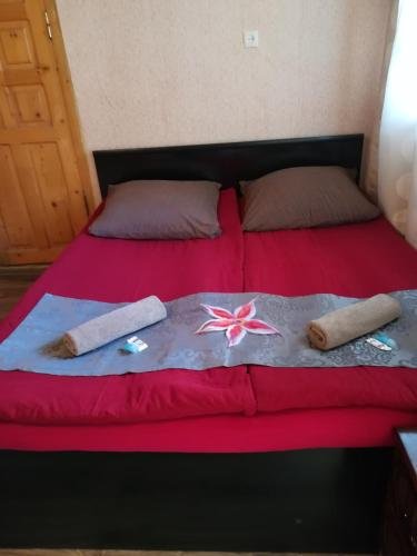 Местиа: Guesthaus Bella