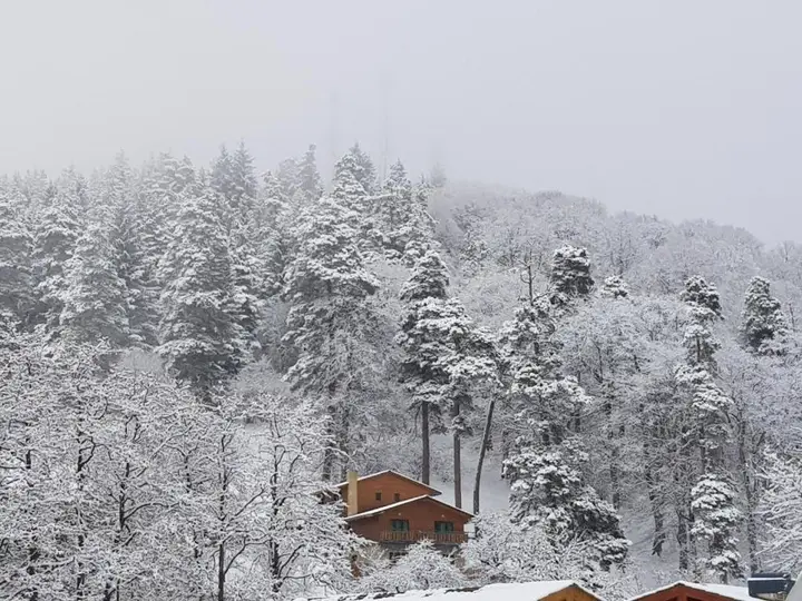 Бакуриани: Villa A Barleon Bakuriani