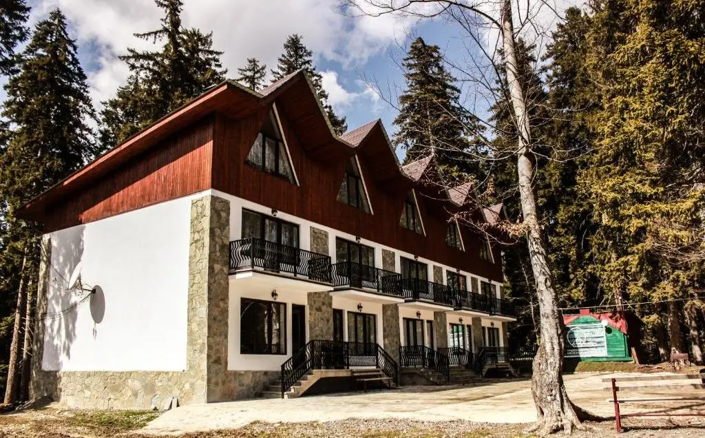 Бакуриани: Villa Kokhta
