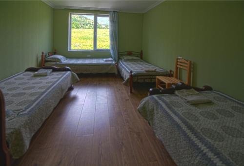 Местиа: Hanmer Guest House