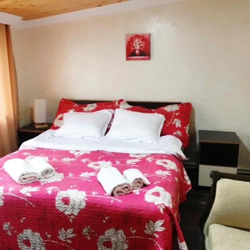 Местиа: Mini-Hotel ,,Suntriil"