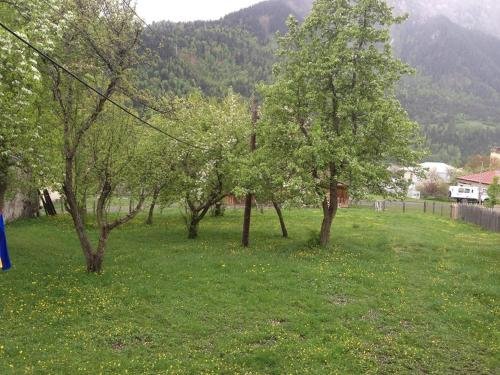 Местиа: shema's guest hause