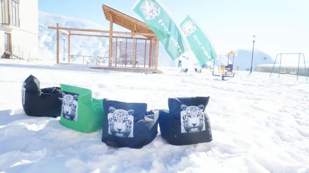 Гудаури: White Tiger in New Gudauri II