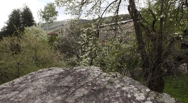 Местиа: Greenyard Guesthouse