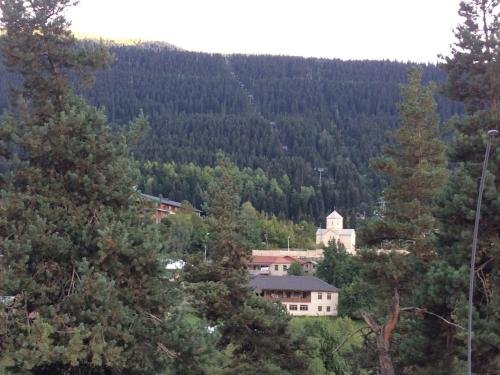 Местиа: Guest house lela