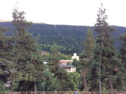 Местиа: Guest house lela
