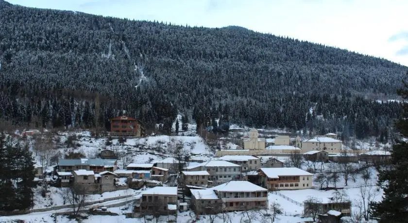 Местиа: Guest house Natia
