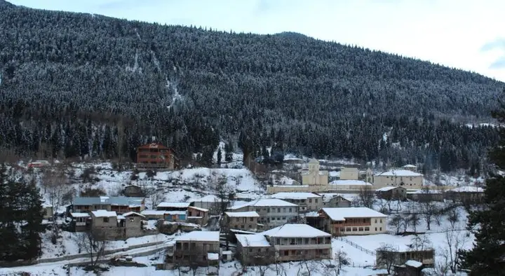 Местиа: Guest house Natia