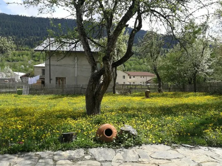 Местиа: Guesthouse Gurski