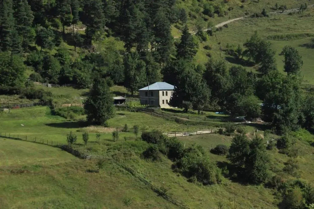 Местиа: Koba Tsipiani's Retreat In Nature