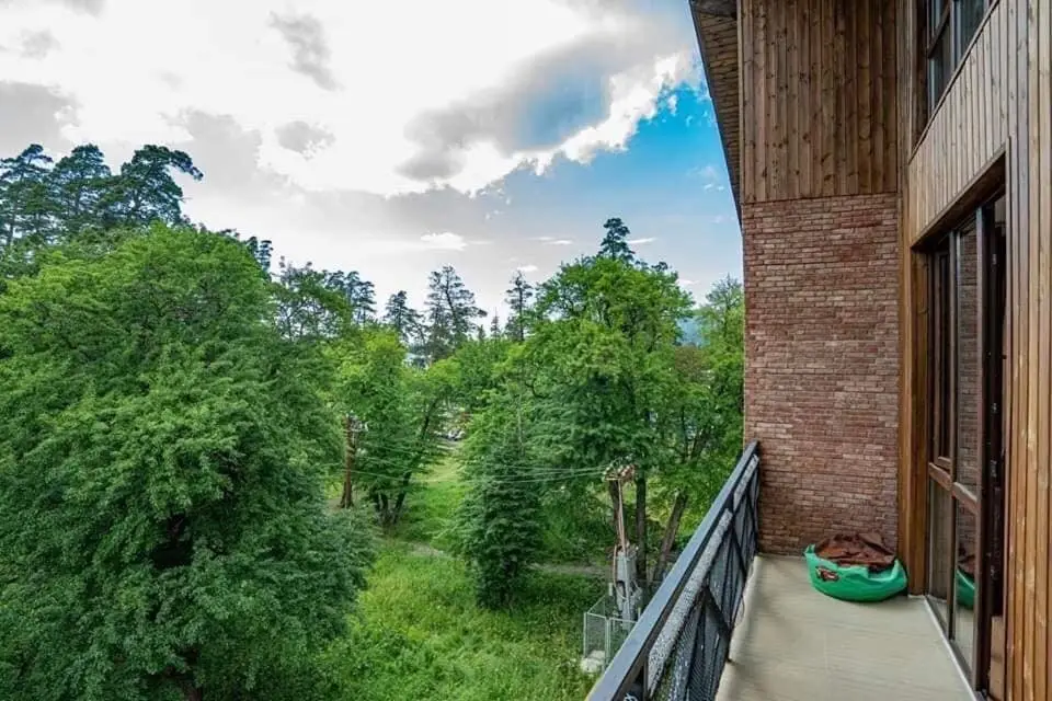 Бакуриани: Park Residence Forest View