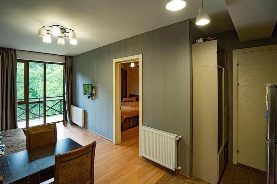 Бакуриани: Park Residence Forest View