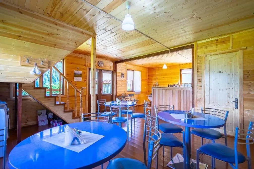 Местиа: Badishi Guesthouse