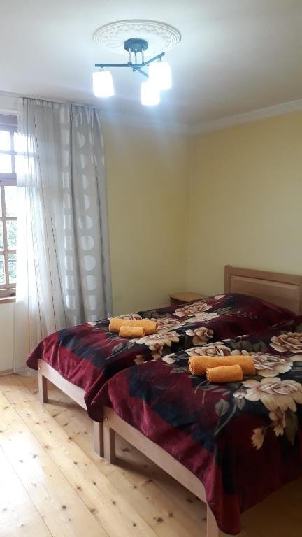 Местиа: guest house robi