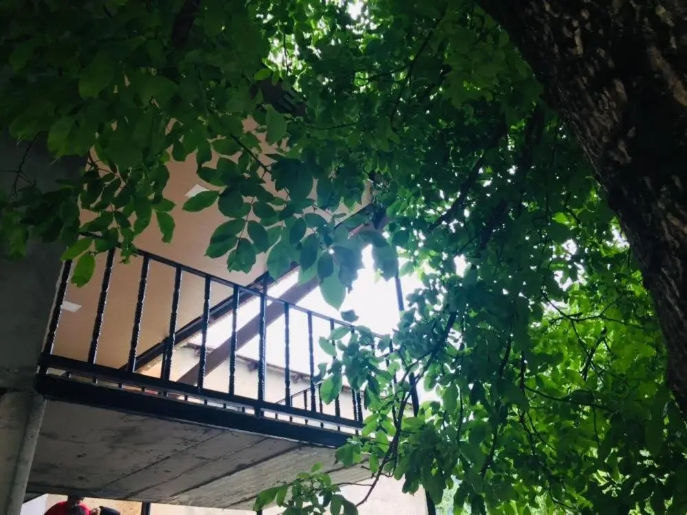 Местиа: Guesthouse Buba Mestia