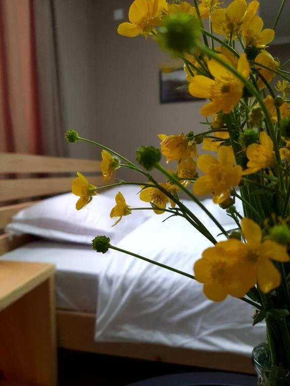 Местиа: guesthouse nakani