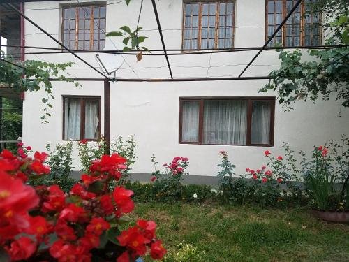Амбролаури: Guesthouse Buka