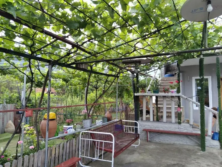Амбролаури: Chelo Guesthouse