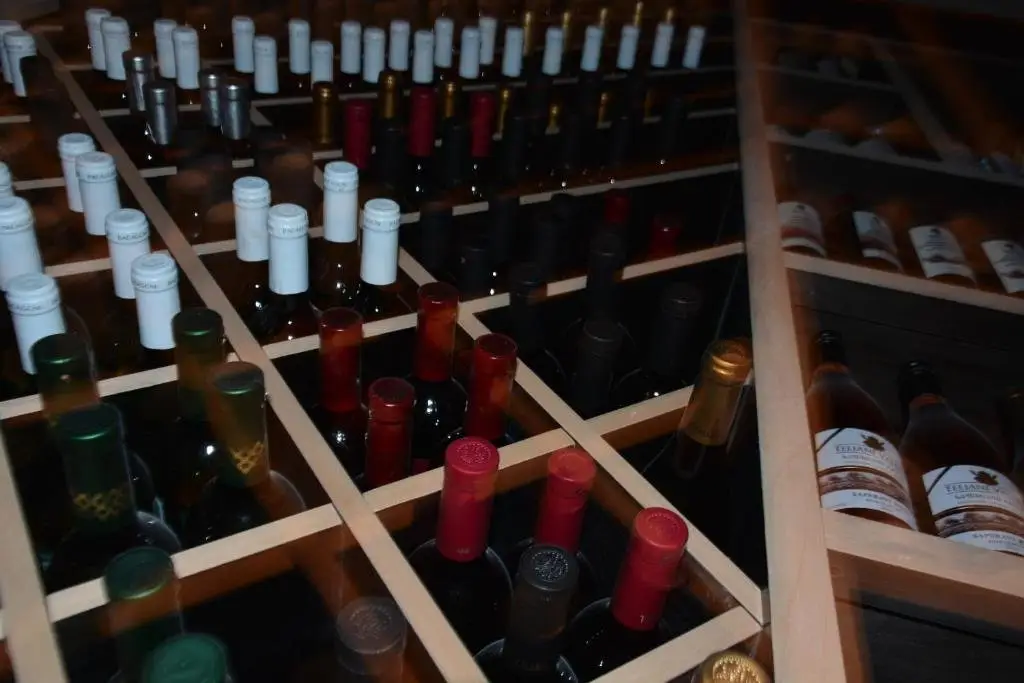 Гудаури: Hotel Winerooms