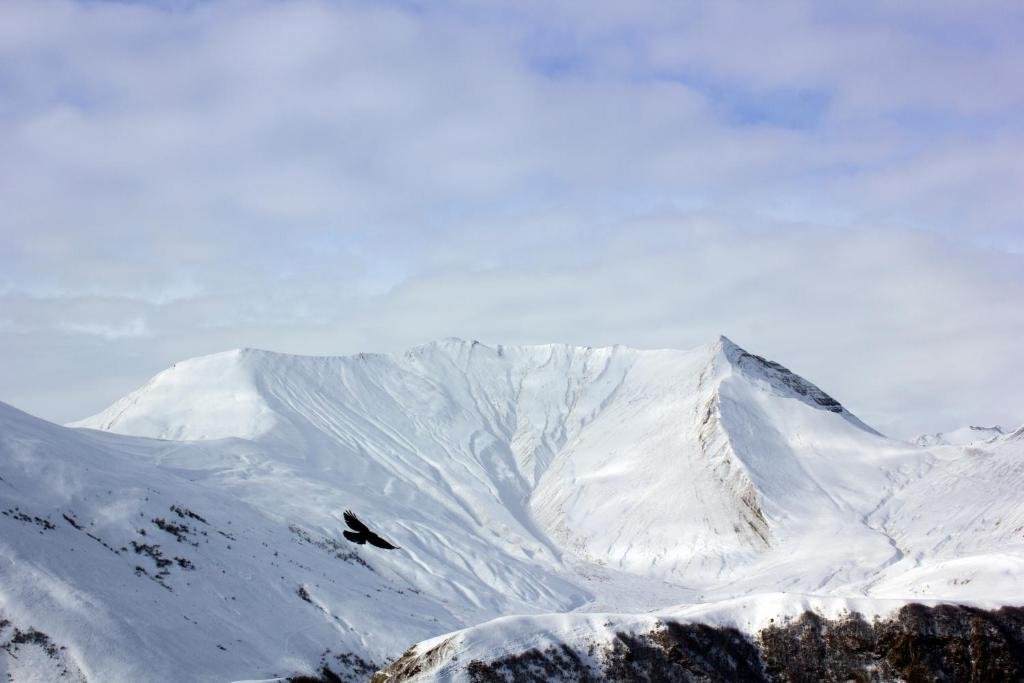 Гудаури: Vista Gudauri
