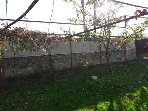 Амбролаури: guesthouse in ambrolauri