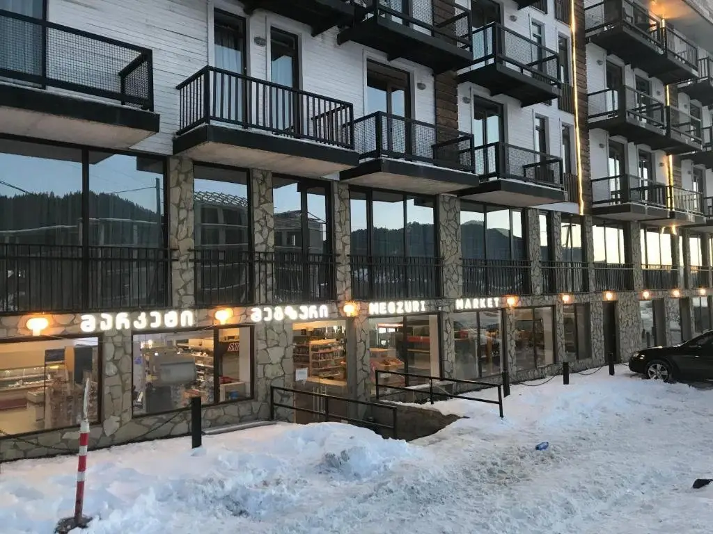 Бакуриани: AB Apartment in MGZAVREBI BAKURIANI