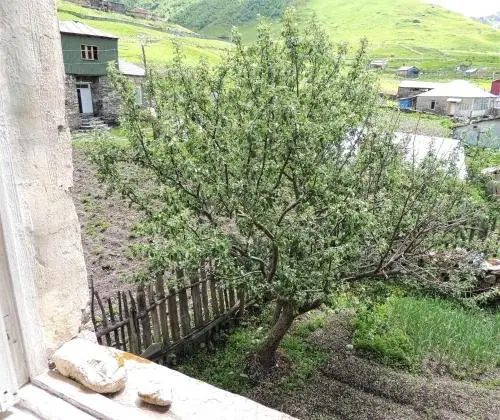 Ушгули: Ushgulitour`s Guesthouse