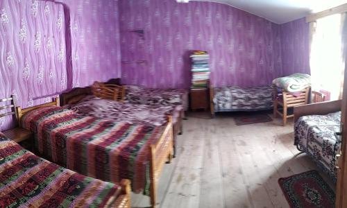 Ушгули: Guest House Boria