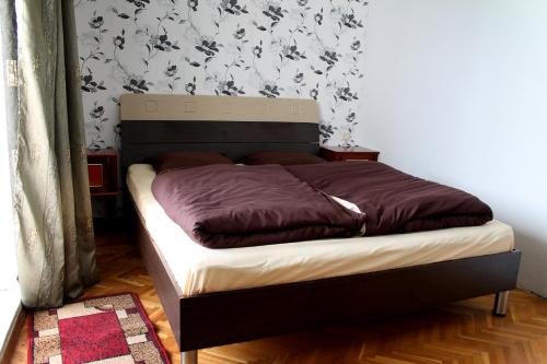 Сигнахи: Guest House Staar