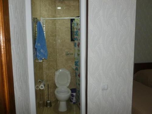 Боржоми: Guest house My house