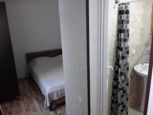 Боржоми: Guest house My house