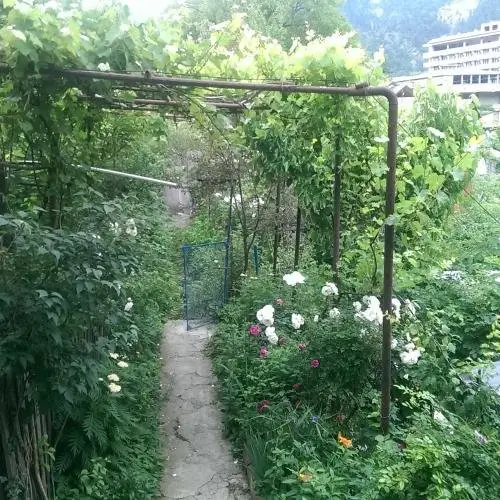Боржоми: Borjomi-Nua