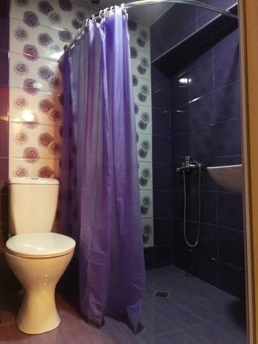 Боржоми: Guest House Shvelidze