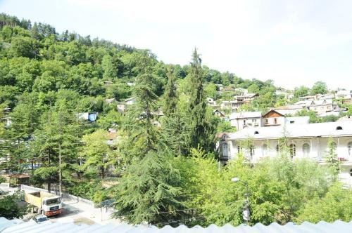 Боржоми: Guesthouse town view
