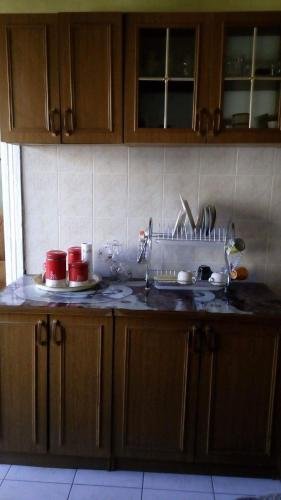 Боржоми: Lika Guest House