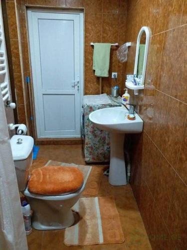 Боржоми: Sesili's home