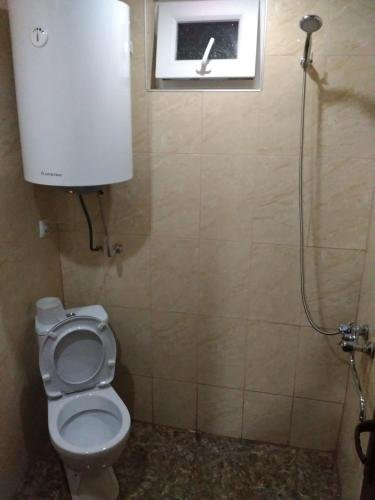 Боржоми: Guest House merabi