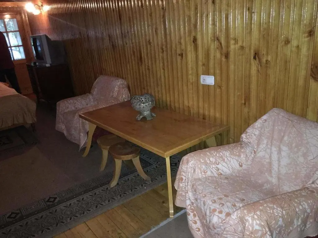 Боржоми: Zaza Guest Room