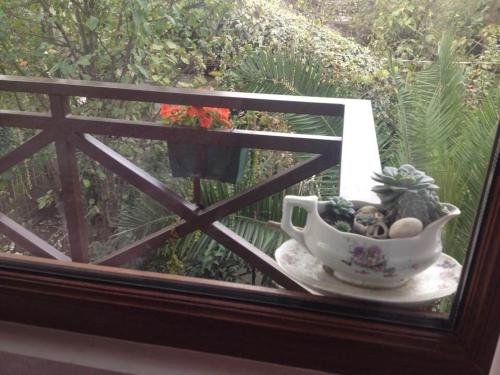 Зугдиди: Irma's Garden Inn