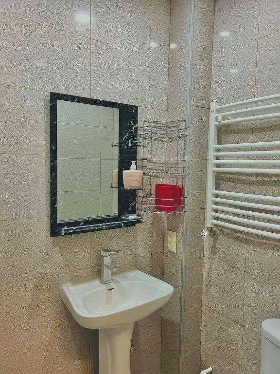 Боржоми: Merabis apartment