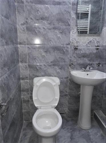 Боржоми: Apart-otel Nino