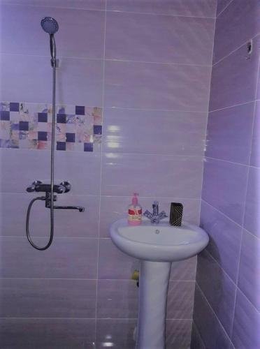 Боржоми: Apart-otel Nino