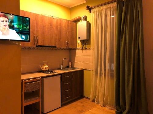 Боржоми: Merabi Apartment