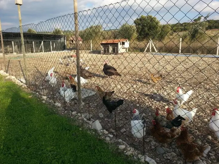 Урла: Özbek Çiftlikevi
