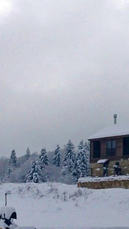 Вардзиа: Elene’s Appartment Bakuriani