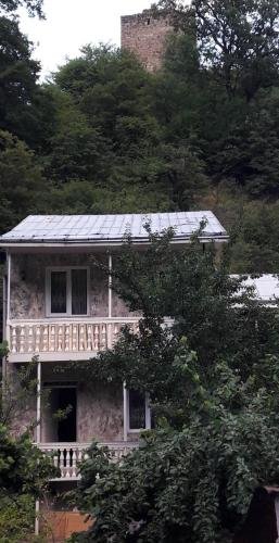 Боржоми: Guesthouse In Borjomi
