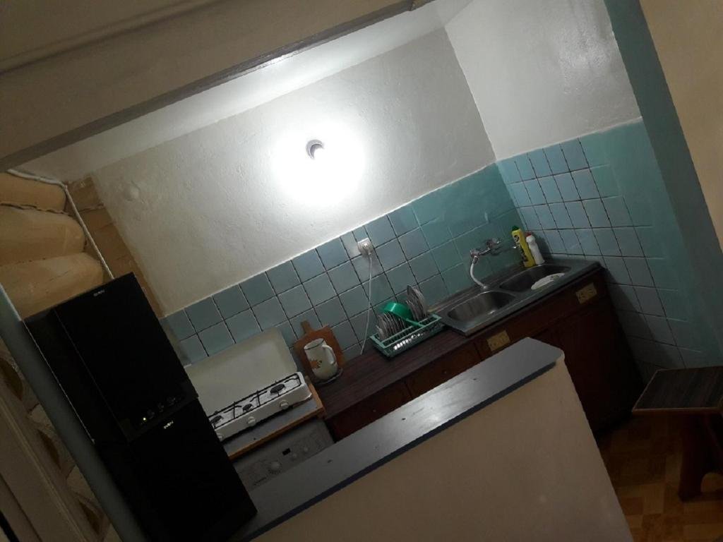 Боржоми: Geqor's Apartment